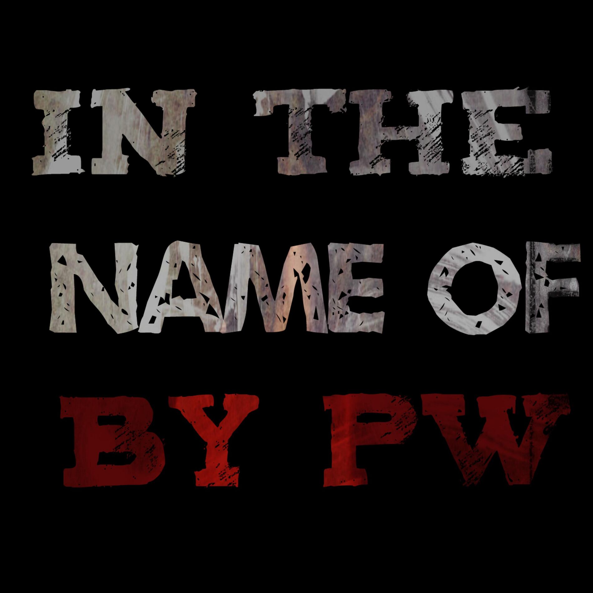 Album cover of In the Name Of