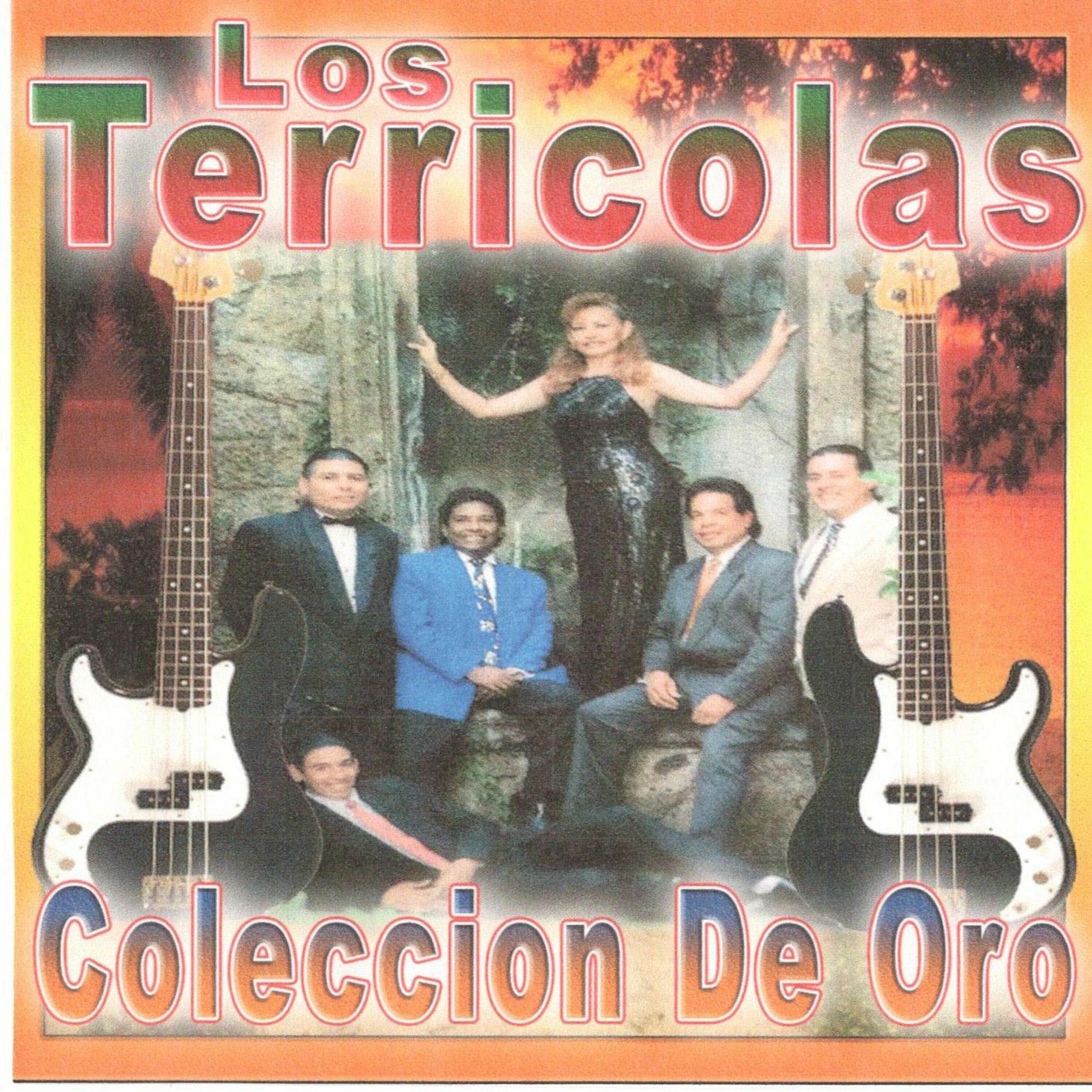 Album cover of Coleccion de Oro