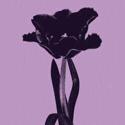 music cover
