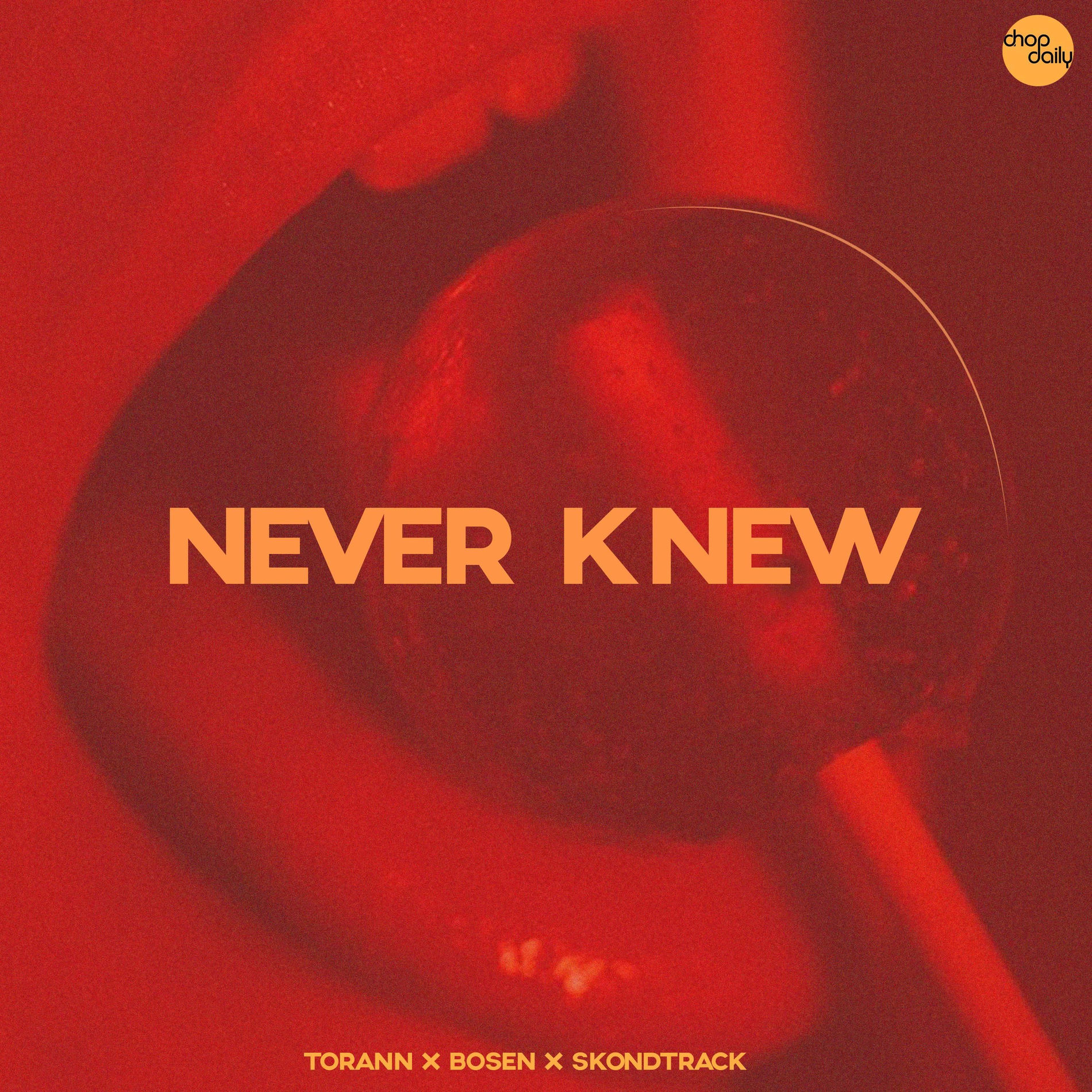 Album cover of Never Knew
