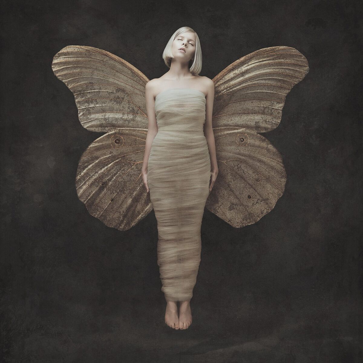 Album cover of Warrior