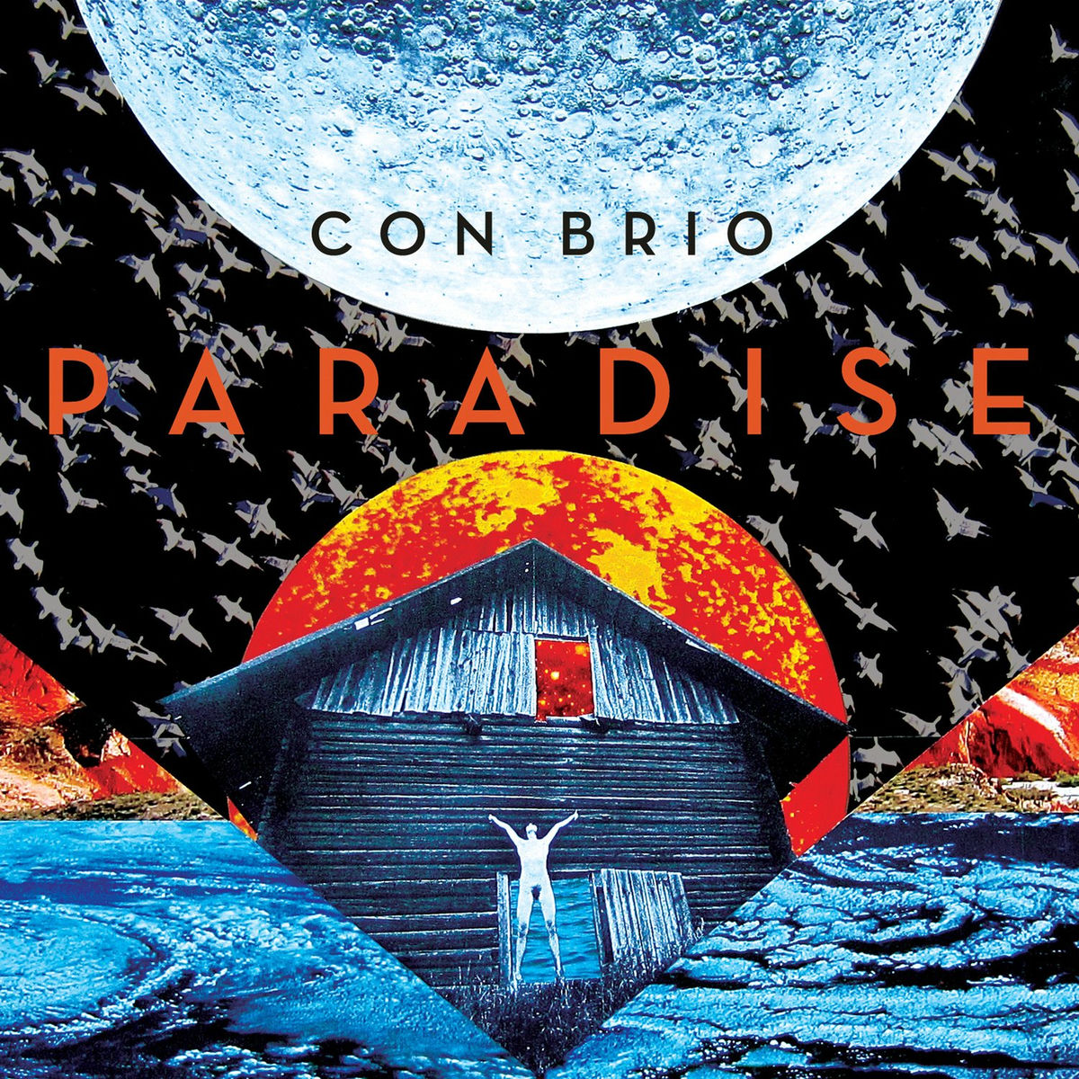 Album cover of Paradise