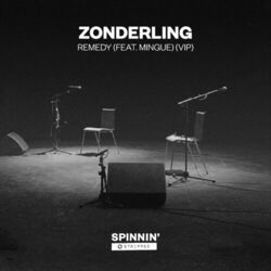 Cover of Remedy (feat. Mingue) (VIP)