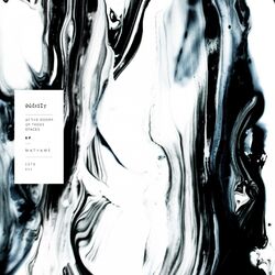 Cover of At the Doors of Those Spaces
