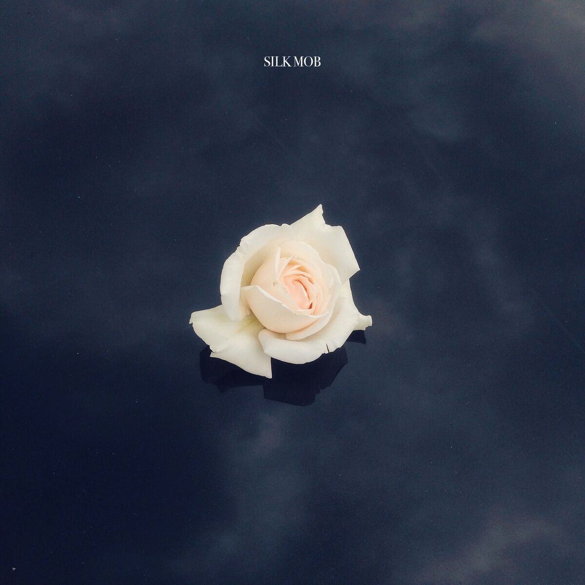 Album cover of Dahin