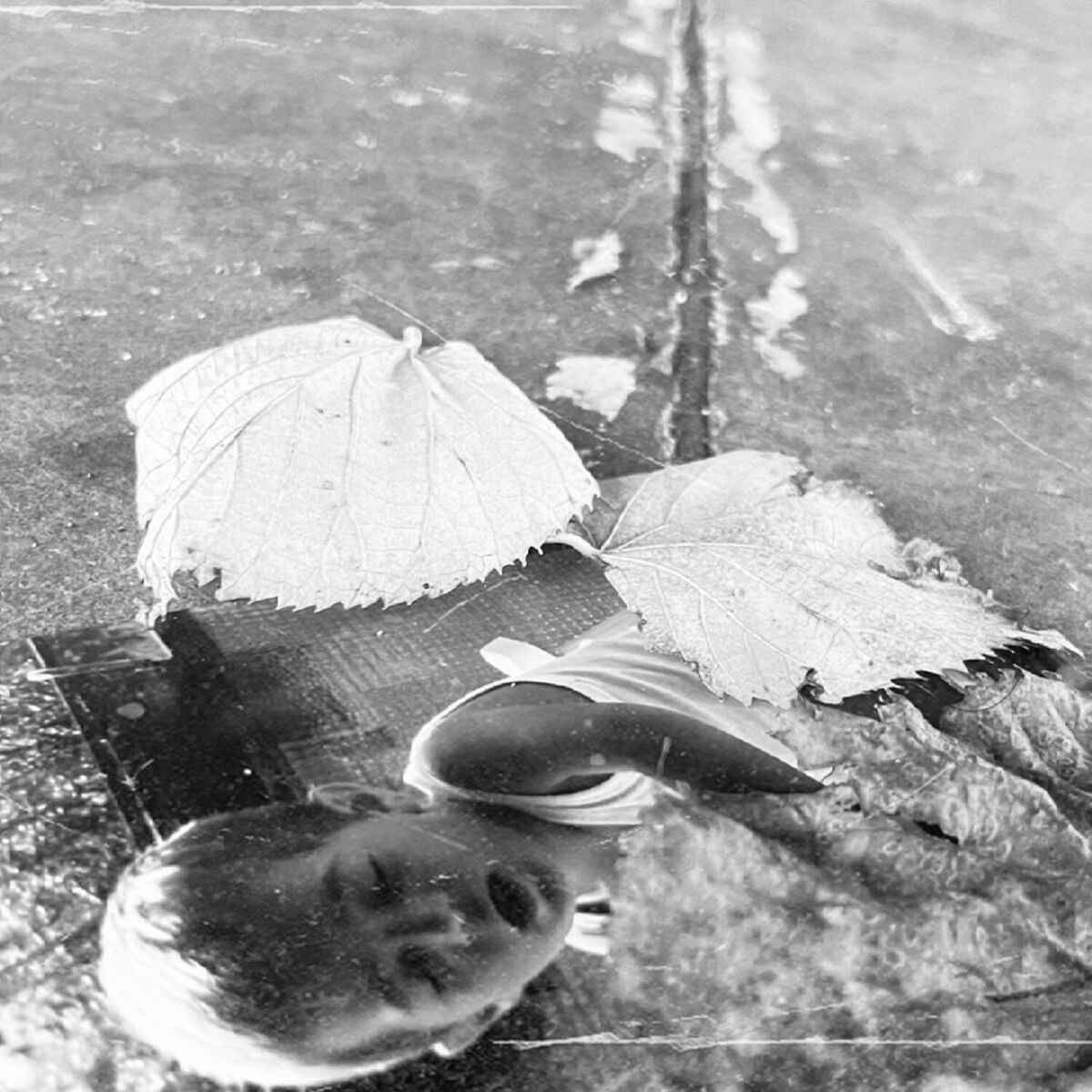 Album cover of NICO
