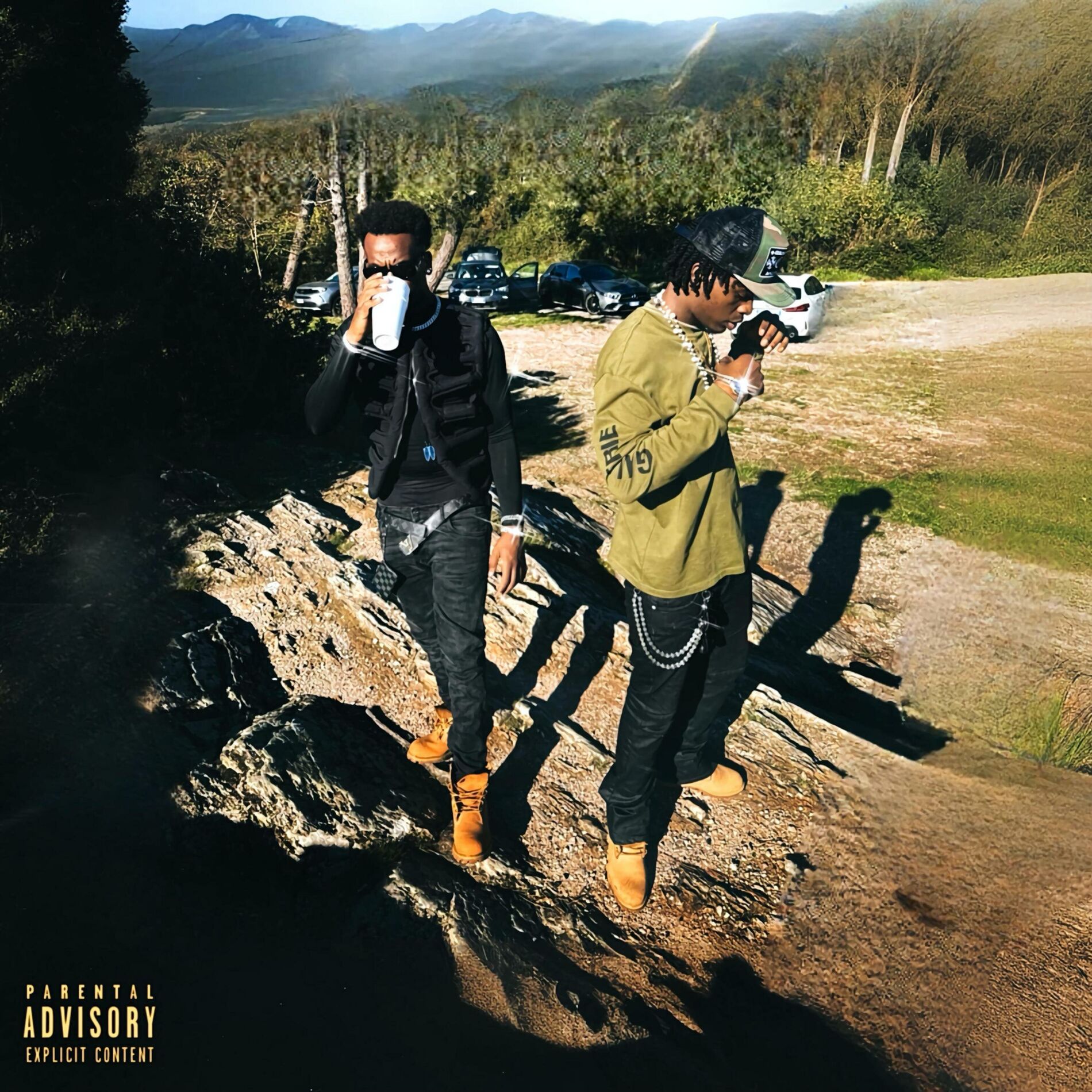 Album cover of Polvere