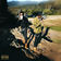 Polvere by Yang album cover