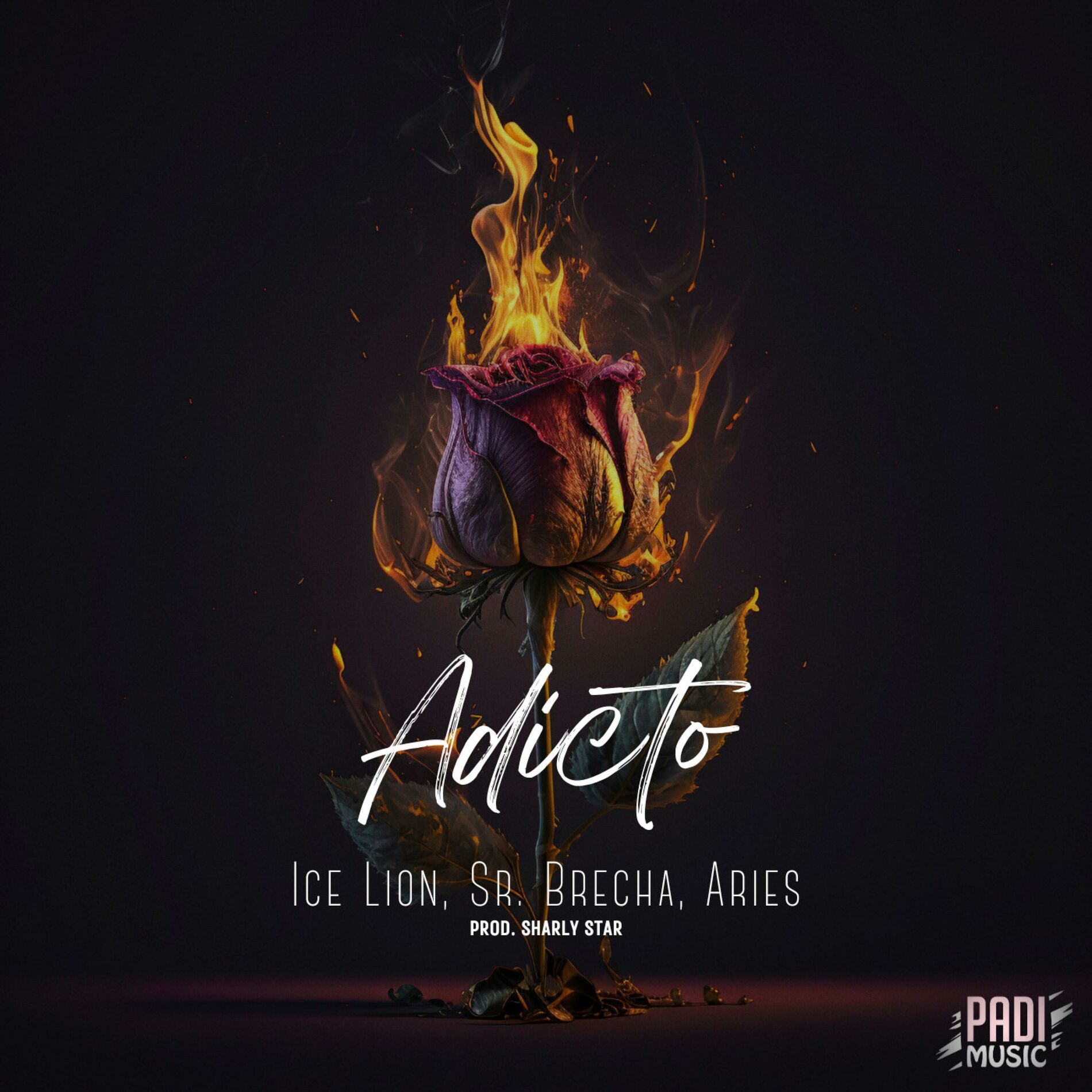 Album cover of ADICTO (feat. Aries & Sr. Brecha)