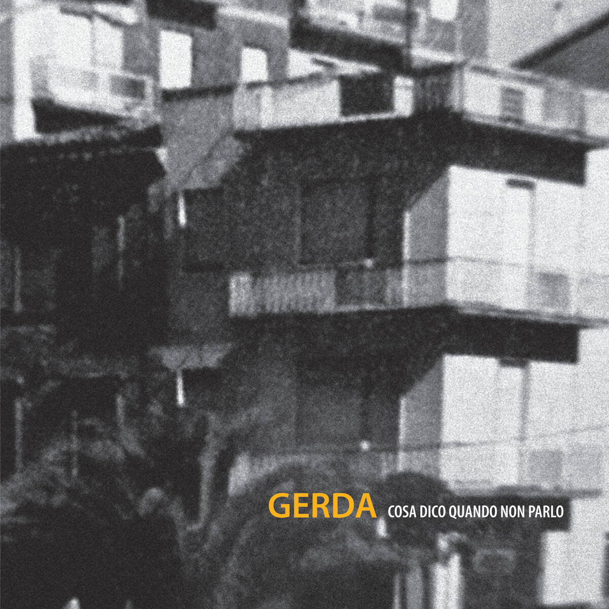 Album cover of Cosa dico quando non parlo