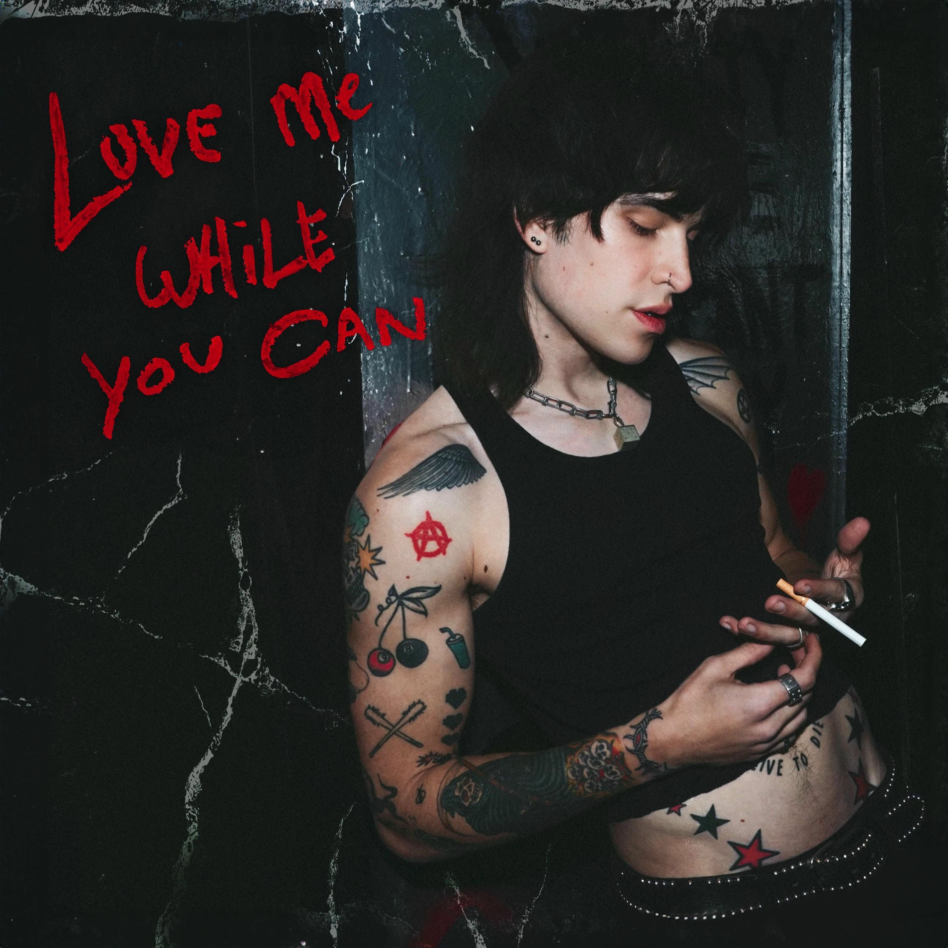 Album cover of love me while you can