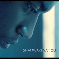 Cover of Shamwari Yangu