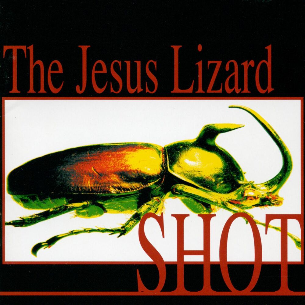 Picture of Shot