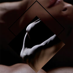 Cover of Movement