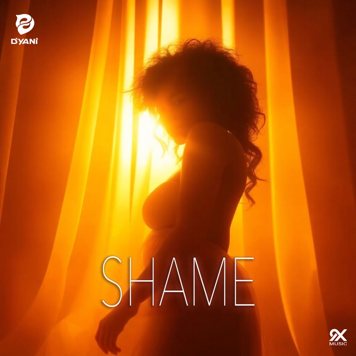 Album cover of Shame