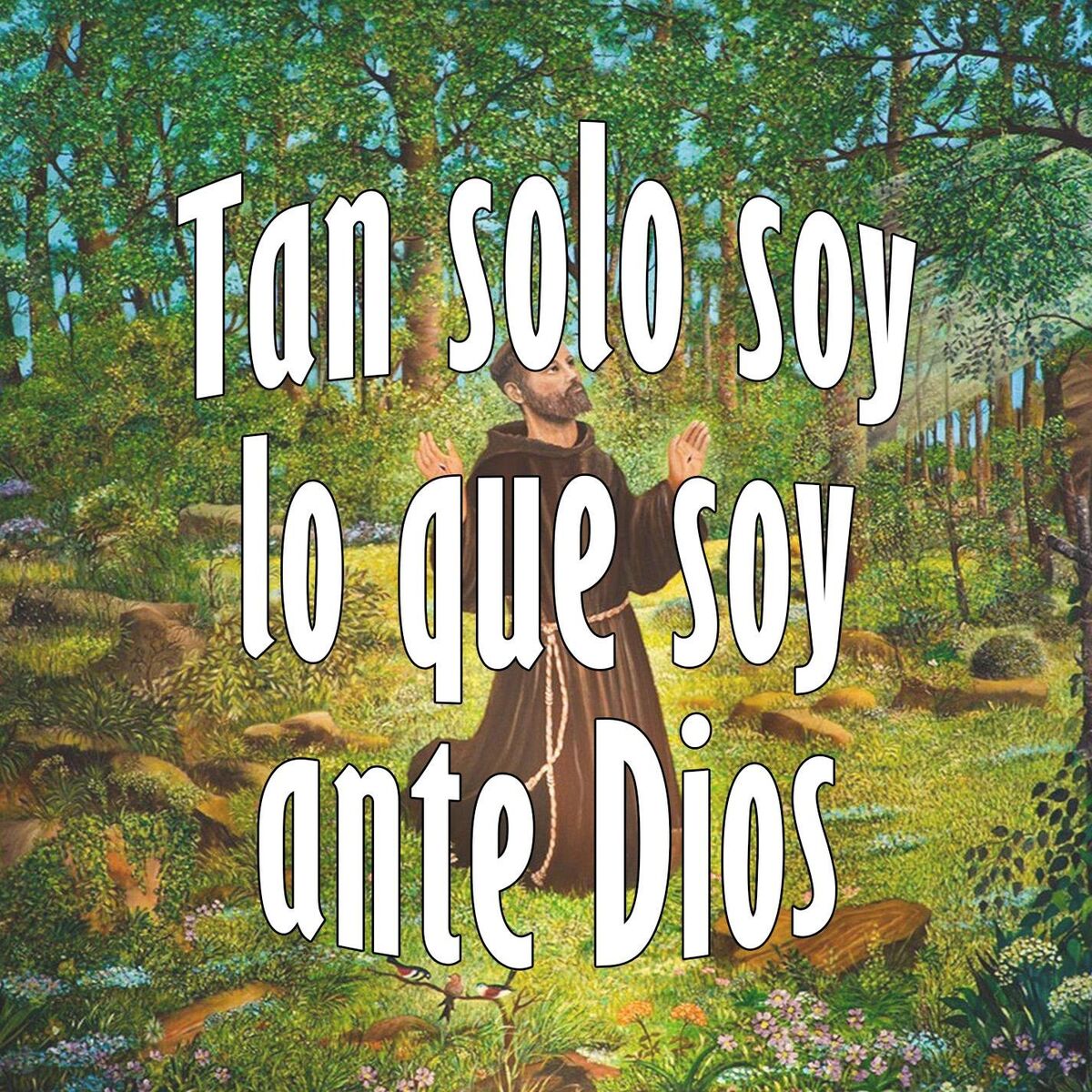 Album cover of Tan solo soy lo que soy ante Dios