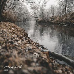 Cover of Rain