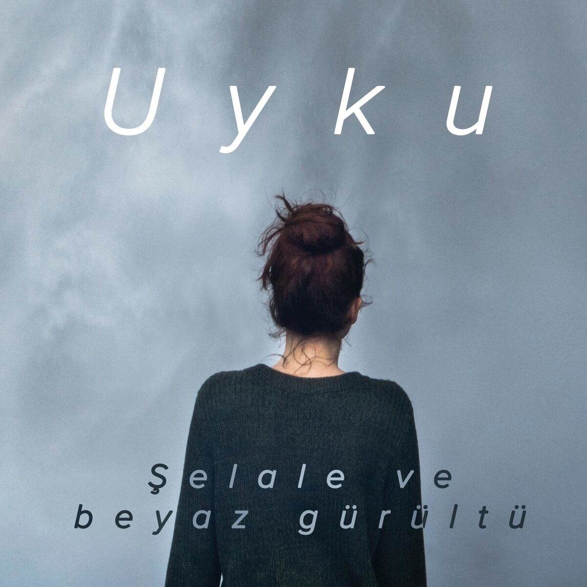 Album cover of Şelale ve Beyaz Gürültü