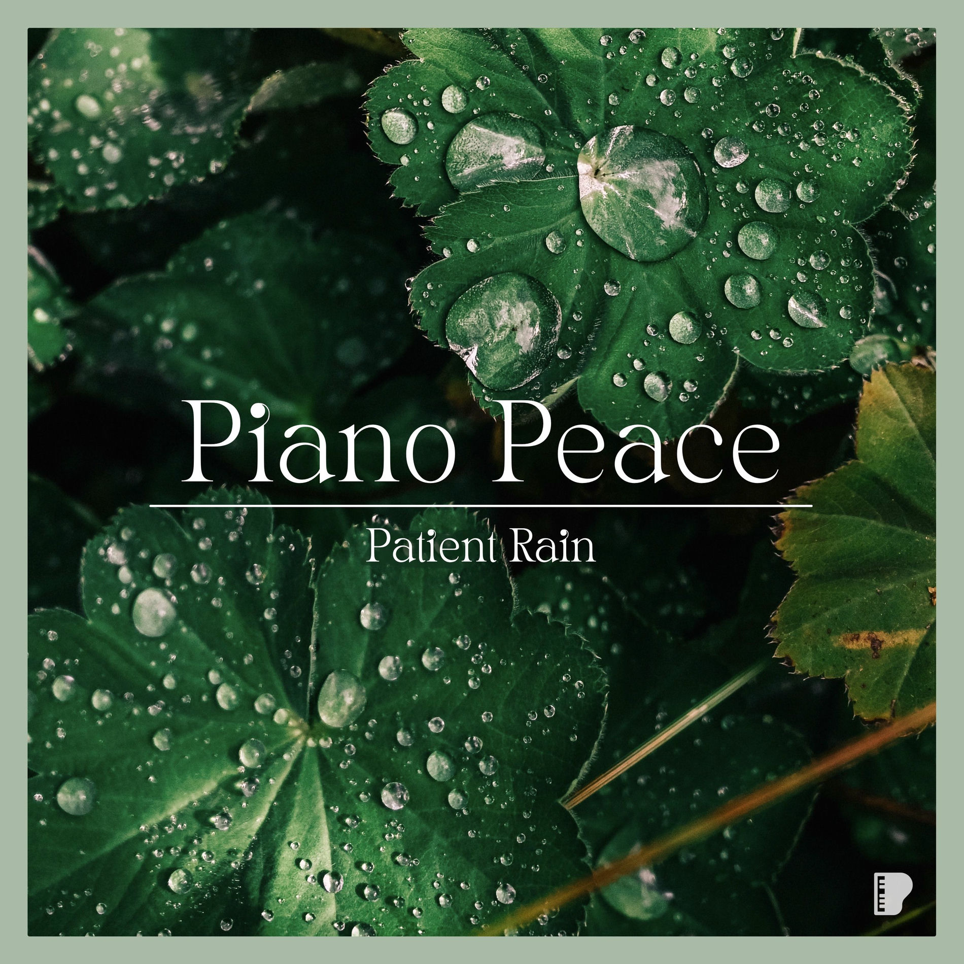 Album cover of Patient Rain