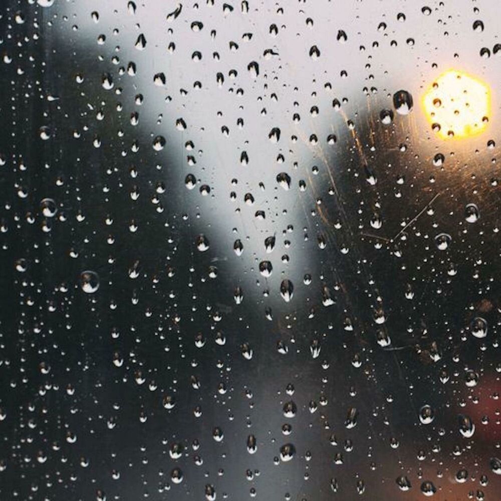 Picture of Let It Rain