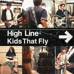 Cover of High Line
