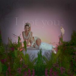 Cover of I Got You