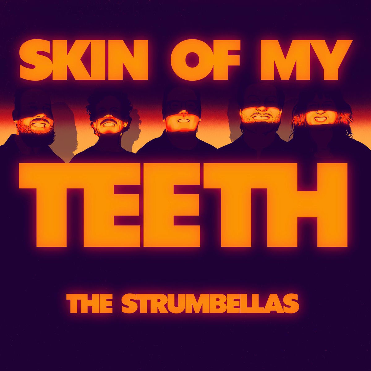 Album cover of Skin Of My Teeth