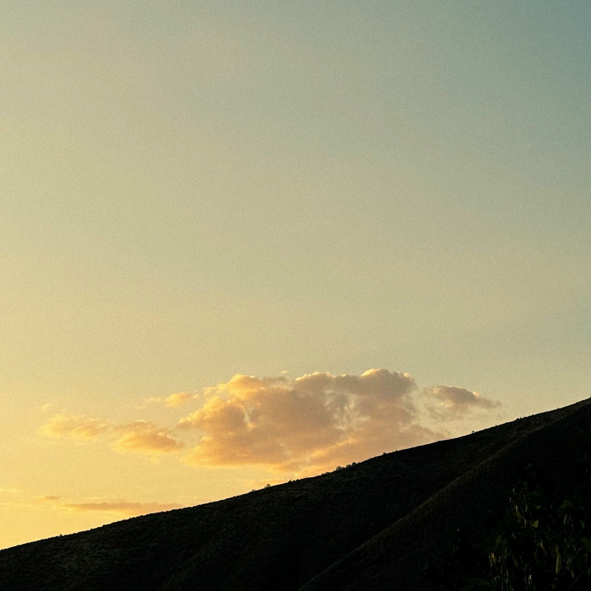 Album cover of Falling Into Light