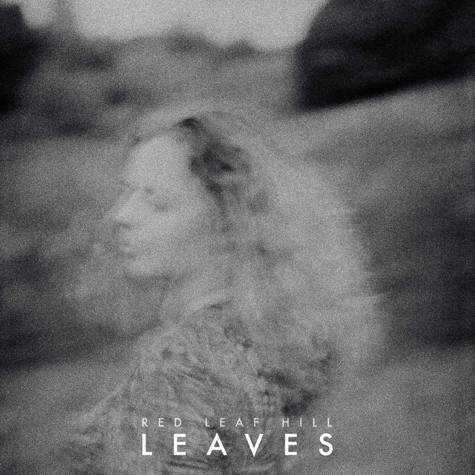 Album cover of Leaves