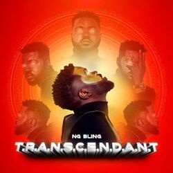 Cover of Transcendant