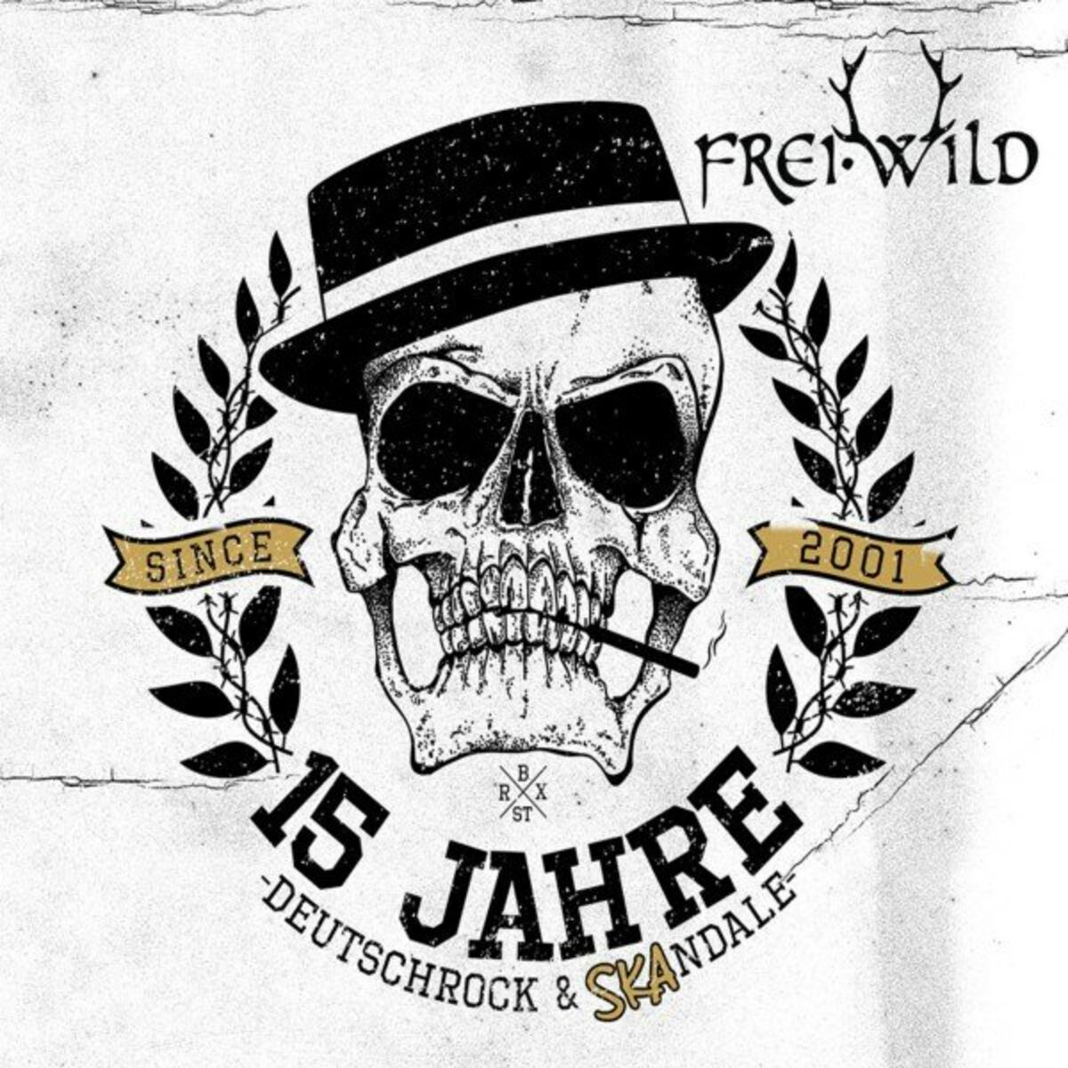 Album cover of 15 Jahre Deutschrock & SKAndale