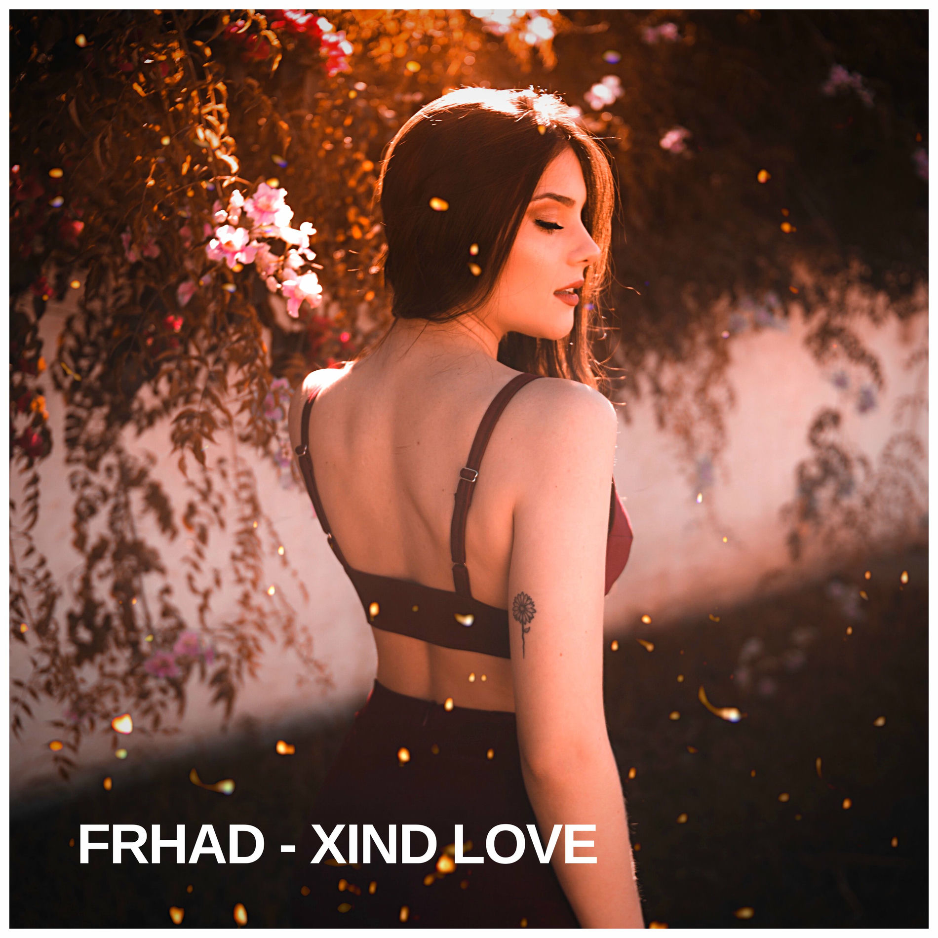 Album cover of Xind Love