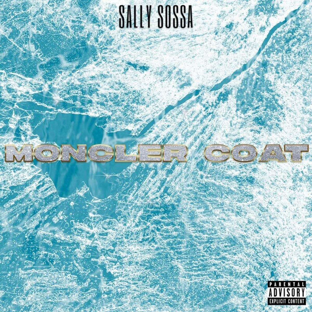 Album cover of Moncler Coat