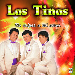 Cover of No Culpes A Mi Amor