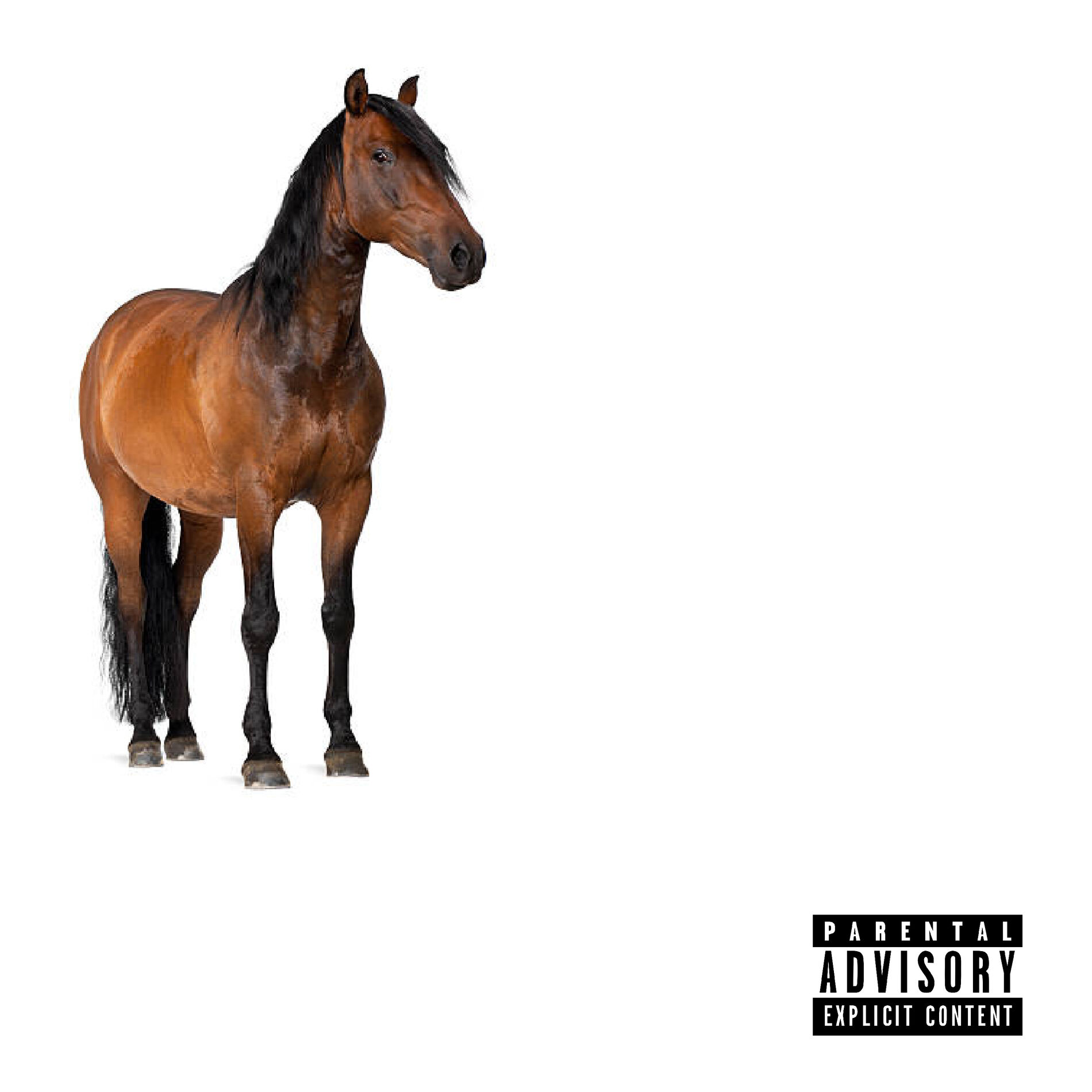 Album cover of Ket Donk