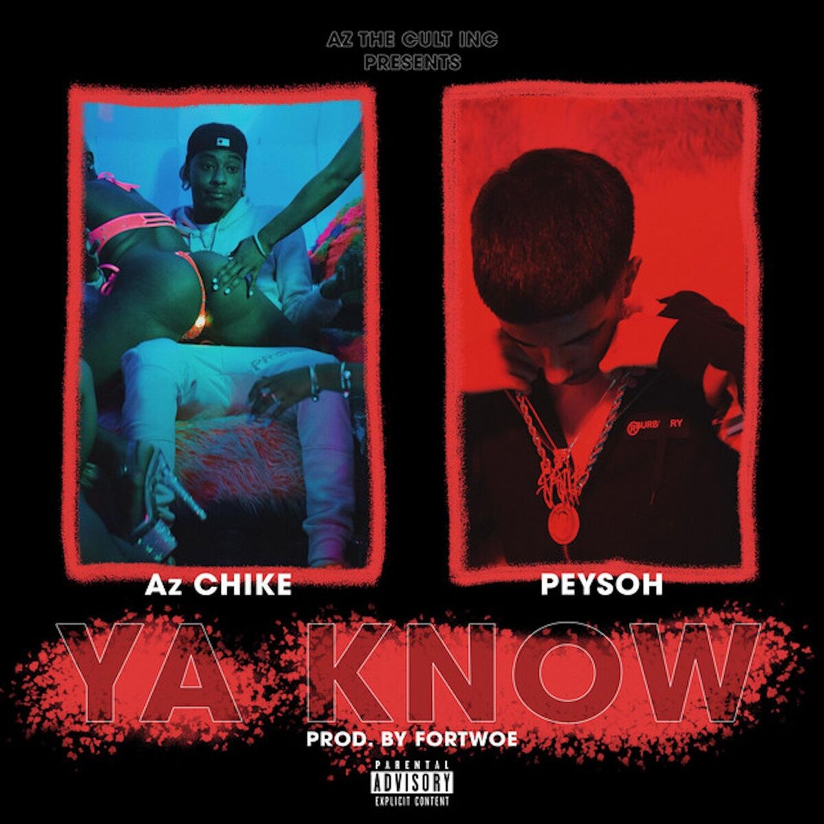 Album cover of Ya Know