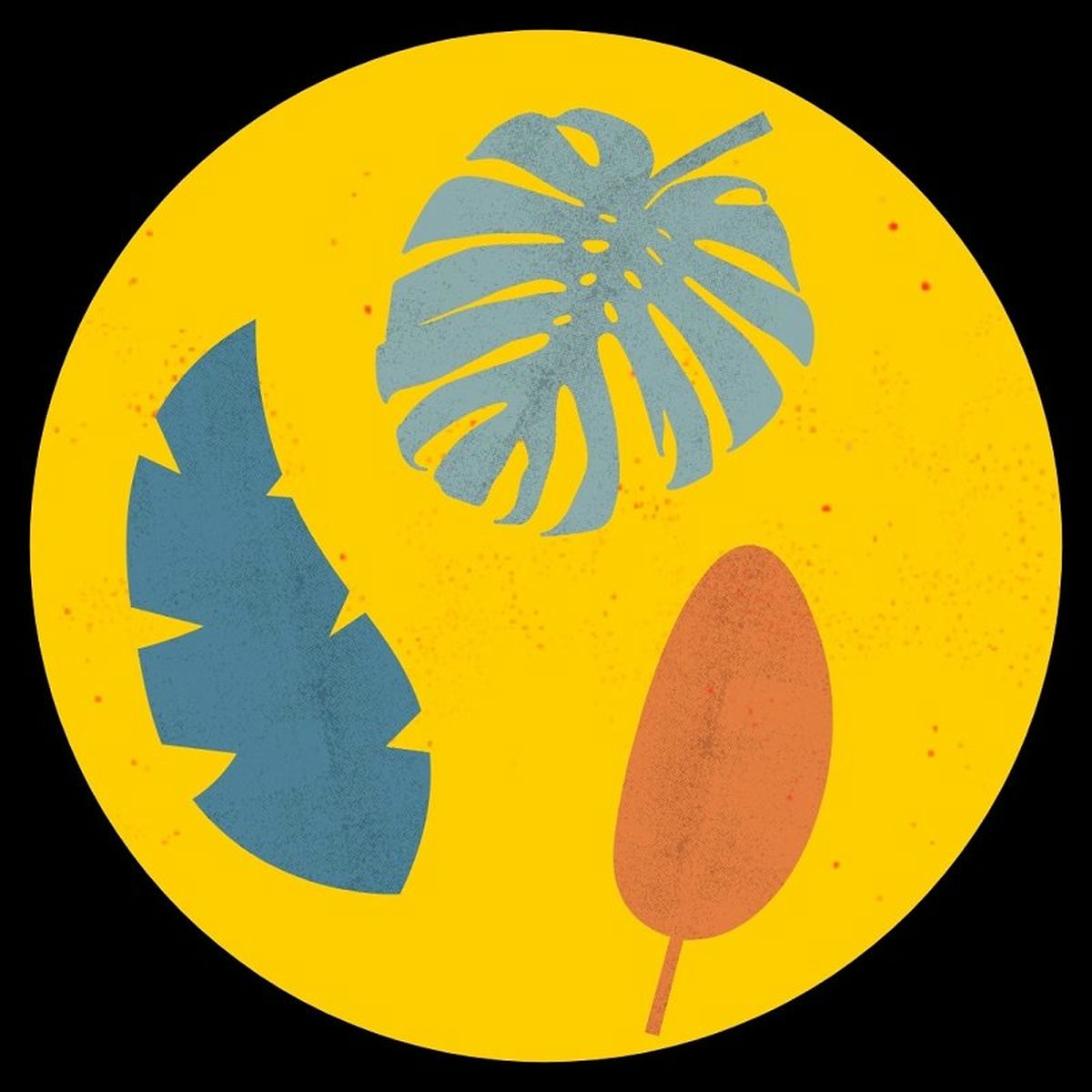 Album cover of Whole Lotta Groove