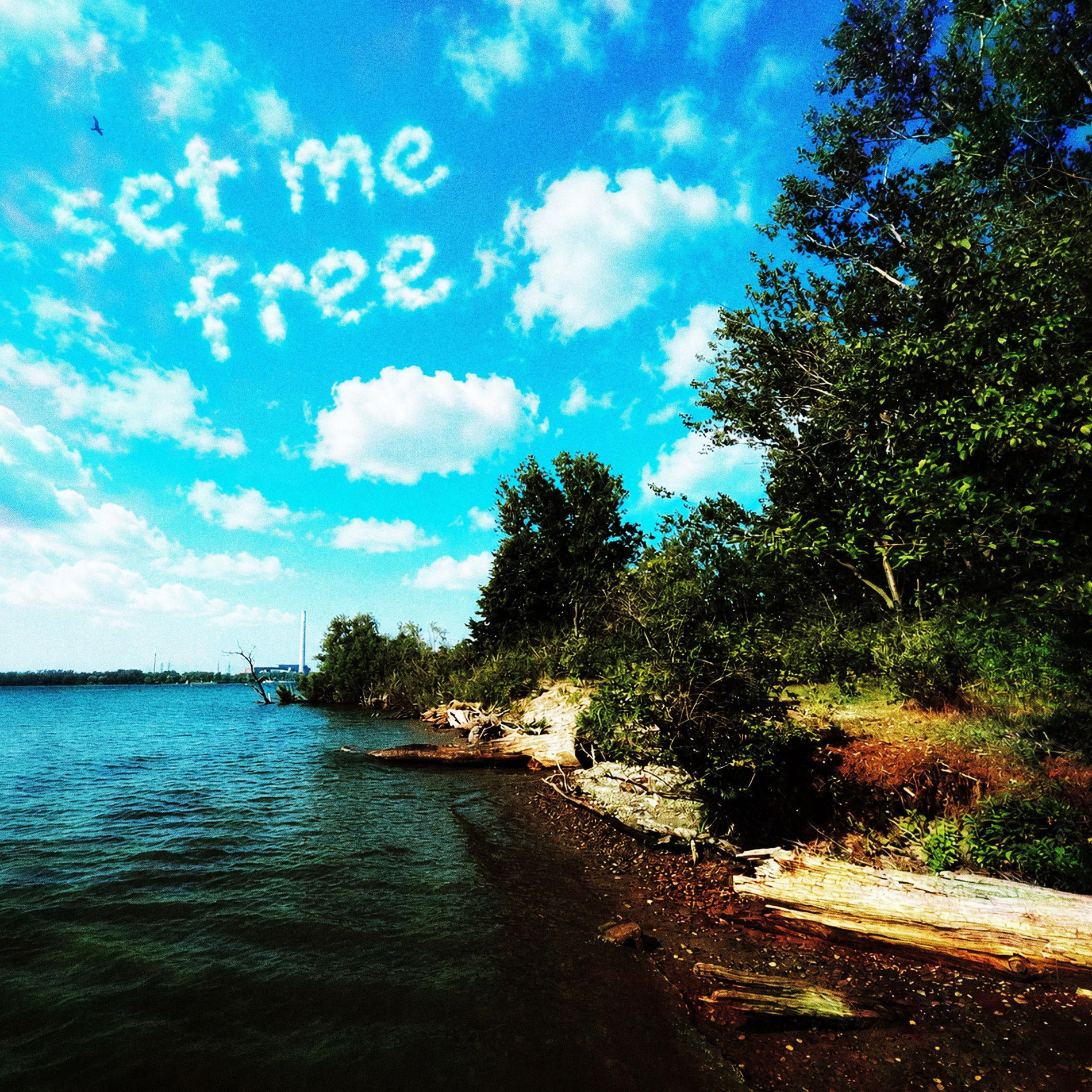 Album cover of Set Me Free