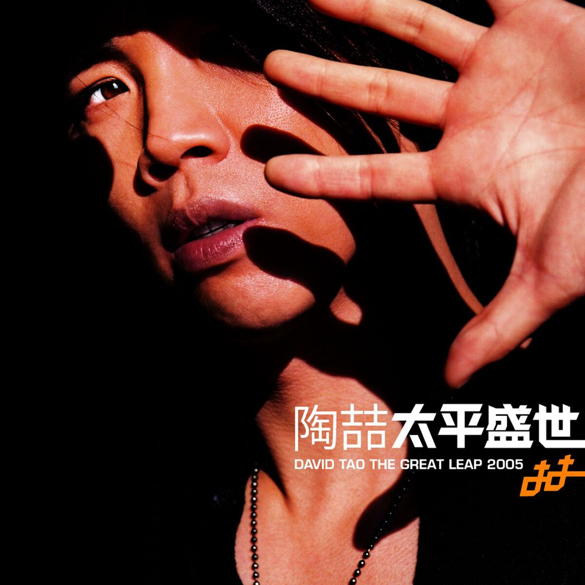 Album cover of The Great Leap