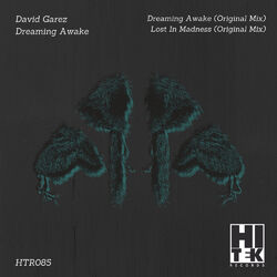 Cover of Dreaming Awake