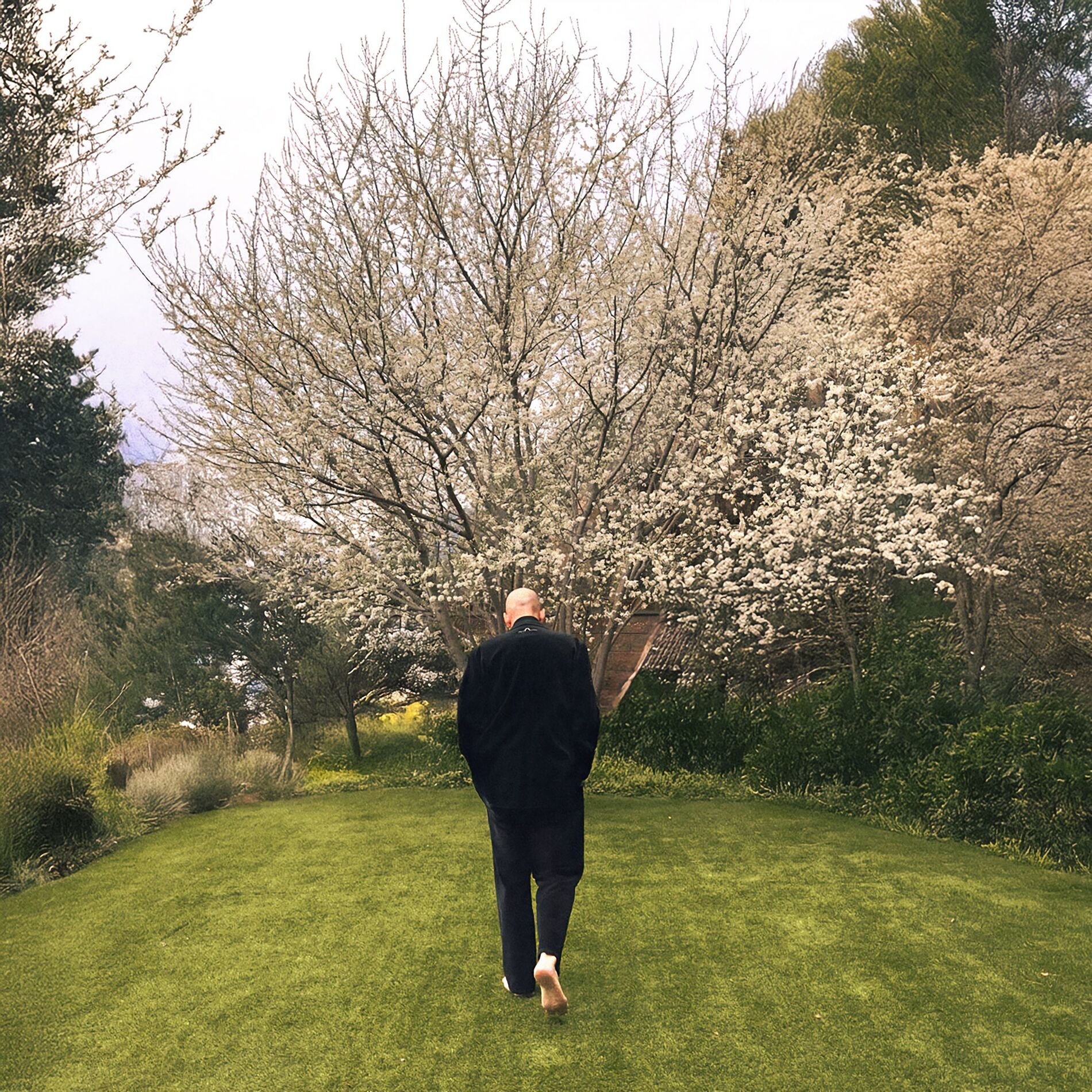 Album cover of Breakup in Bloom