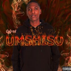 Cover of Umshiso