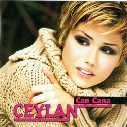 music cover