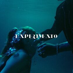 Cover of EXPERIMENTO