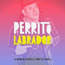 Cover of Perrito Labrador