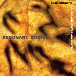 Cover of Resonant Bodies