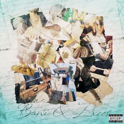 Cover of Bani & Exces
