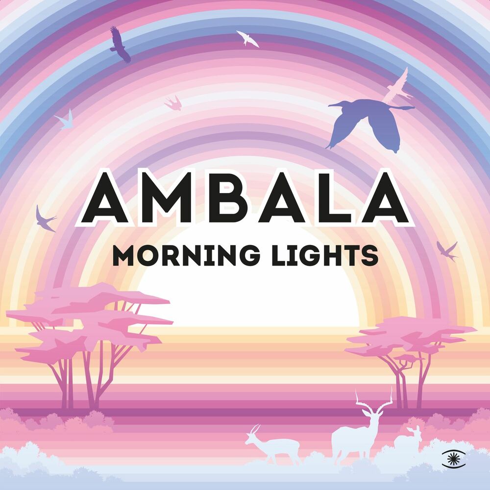 Picture of Morning Lights