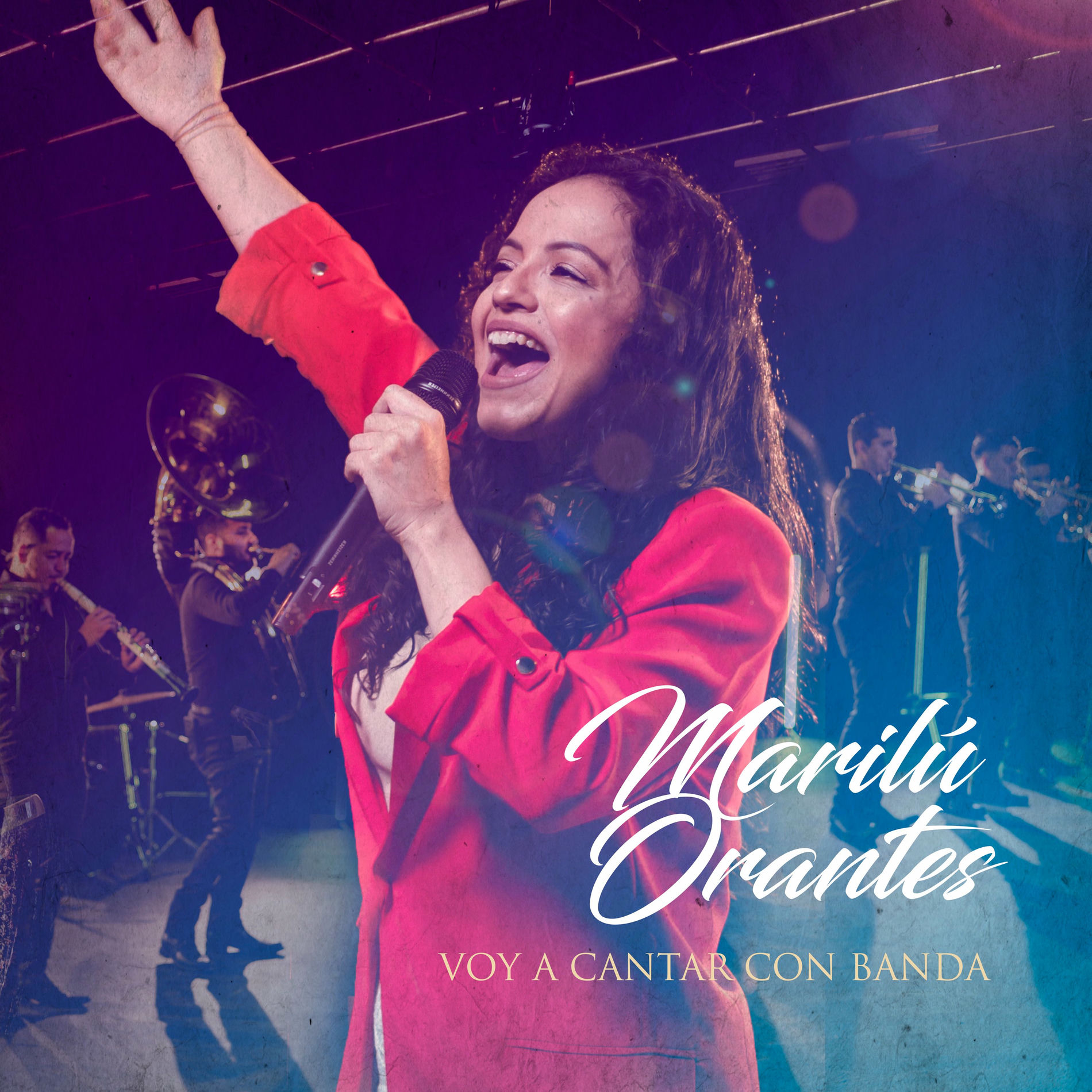 Album cover of Voy A Cantar Con Banda