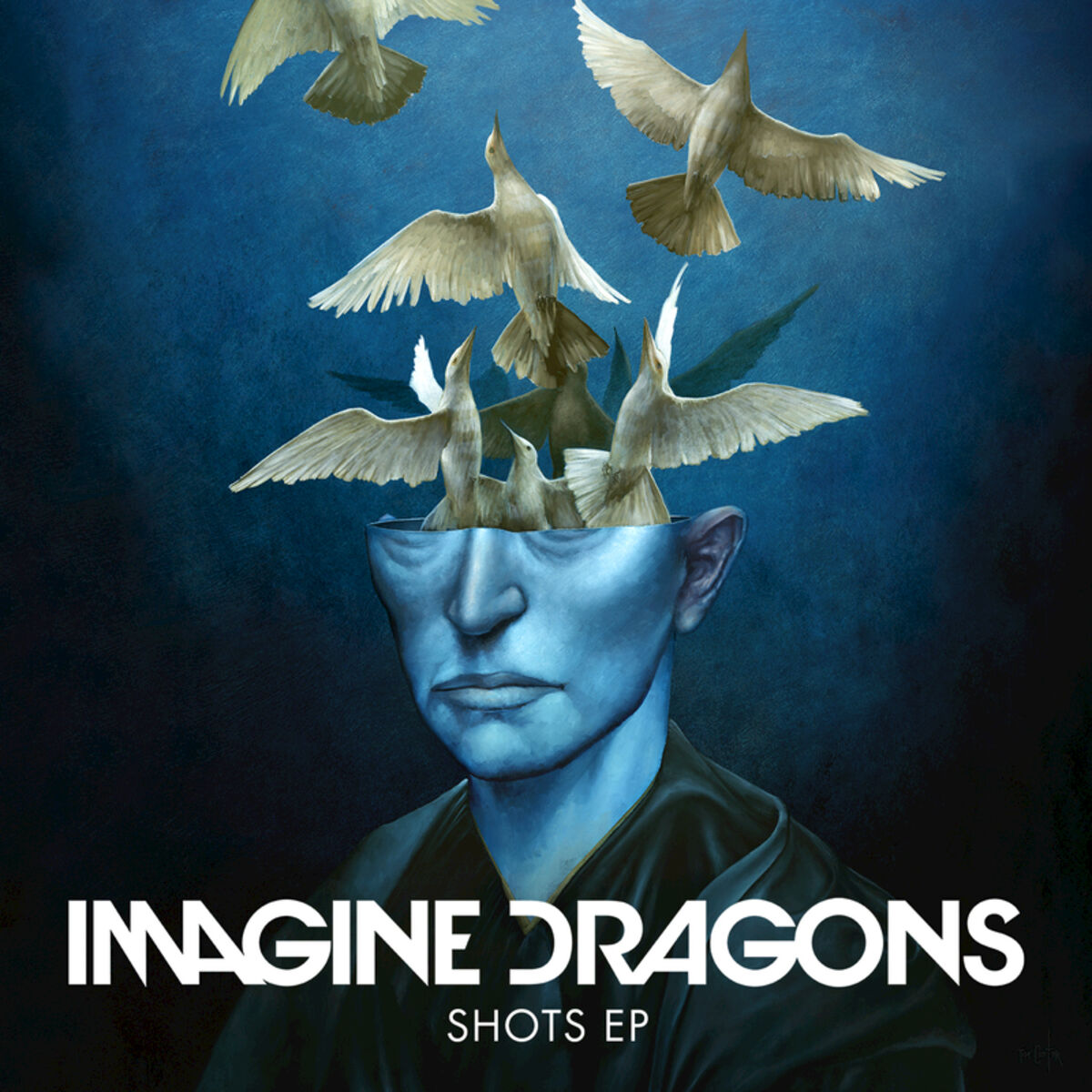 Album cover of Shots